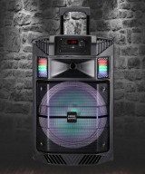 Speaker box 12''