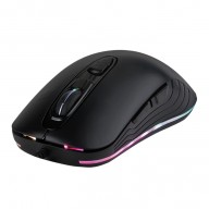 Mouse Gaming